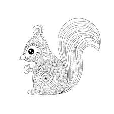 Squirrel coloring page | free printable coloring pages squirrel coloring page from squirrels category. Squirrel Coloring Pages Royalty Free Stock Illustrations And Vectors Stocklib