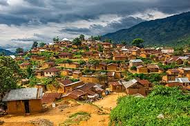 Image result for Tricalysia vanroechoudtii