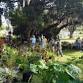 Plant Sale
