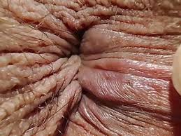 Analintroductions kandy kors victoria pure. Gay Ass Rimming Porn Videos Apornstories Com