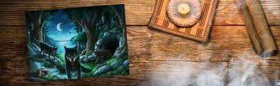 759 pc escape puzzle more product information. Ravensburger 16434 Curse Of The Wolves 759 Piece Jigsaw Puzzle For Kids And Adults Ages 12 And Up An Escape Room Experience In Puzzle Form Toys Games Jigsaw Puzzles