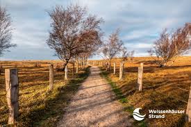 Weissenhauser Strand In 2020 Weissenhauser Strand Ostsee Urlaub Urlaub