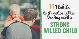 11 Habits To Practice When Dealing With A Strong Willed Child