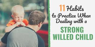 11 habits to practice when dealing with a strong willed child