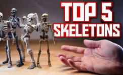 PLASTIC SKELETON REVIEW - BEST OF 2023 - YouTube