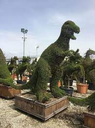 Nothing can make your front door look more put together than having these trees in matching containers on either side of your entryway. T Rex Topiary Dinosaur Topiary Trees Buy Uk