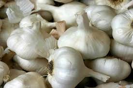 Dengan 7 cara mengupas bawang putih ini dijamin lebih hemat waktu dan tidak terlalu melelahkan. Bawang Putih Podmoskovny Penerangan Tentang Pelbagai Dan Ciri Hasil Dengan Foto