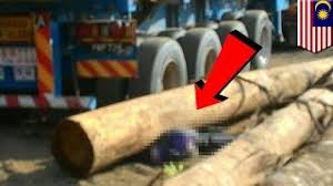 Indonesia and thailand have taken steps to review the safety. Workplace Accidents Malaysian Lorry Driver Crushed By Logs Tomonews Youtube