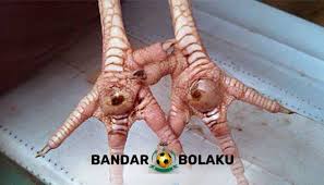Maybe you would like to learn more about one of these? Pin Di Batu