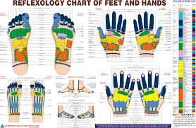 reflexology chart the little shaman