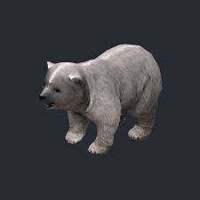 3d Model Polar Bear Baby C4d Obj 3ds Fbx Ma Lwo 93989 Polar Bear Polar Bear