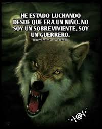 Sin Duda Frases De Lobos Diario De Un Lobo Fotos De Lobo