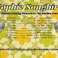 Topless Picking Flowers Release Tour // KĀPITI COAST event image