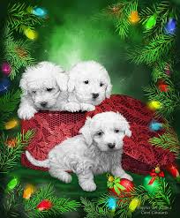 Do you like this video? Puppies For Christmas Mixed Media By Carol Cavalaris