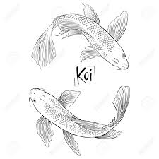 We did not find results for: Hand Drawn Outline Vector Couple Of Koi Fish Royalty Free Cliparts Vectors And Stock Illustration Image 96763029
