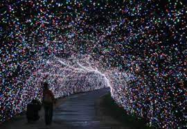 You Will Love This Dreamy Ride Through The Largest Drive Thru Light Show In New Hampshire Christmas Light Displays Light Show Oh The Places You Ll Go