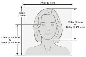 The uk passport photo size requires that the passport photo has the following dimensions, 3.5cm x 4.5cm (35mm x 45mm or 1.37 inches x 1.77 inches). Us Passport Photo Size Passport Photos Leeds Passport Photo List Of Photographers Wales England