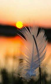 Download musik background sedih mp3 music file. Quotes Alam Yang Indah Fotografi Alam Gambar Menakjubkan