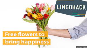 Add more water if needed or replace the water if cloudy. Bbc Learning English Lingohack Free Flowers To Bring Happiness