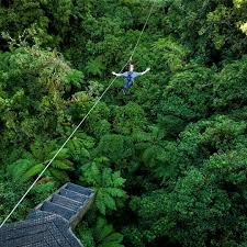 top 10 things to do in rotorua travel guide krysti jaims india travel travel guide travel