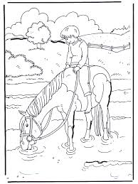 Pferd Im Wasser 1 Ausmalbilder Pferde