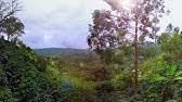 We did not find results for: Nespresso Vertuoline Evoluo How To Cup Size Programming Youtube