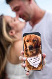 Ashley Wilbur Photography, LLC