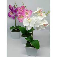 Bunga anggrek adalah salah satu bunga yang paling mahal untuk digunakan dalam pernikahan. Jual Bunga Anggrek Artificial Hiasan Meja Anggrek Kupu Kupu Di Lapak Pratama Home Store Bukalapak