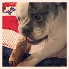 Nutrisource grain free chicken & pea dry dog food. Answers Pet Food Answerspetfood Twitter