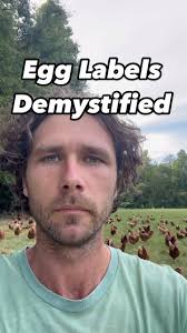 Sequatchie Cove Farm(@sequatchiecovefarm) • Instagram写真と動画