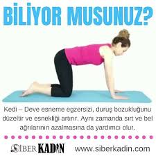 Siber Kadin Kedi Deve Esneme Egzersizi Durus