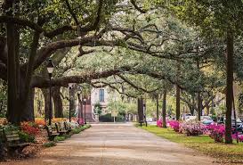 See reviews and photos of coffee shops in savannah, georgia on tripadvisor. The 2021 Visitor Guide To Savannah Georgia Eat Stay Play