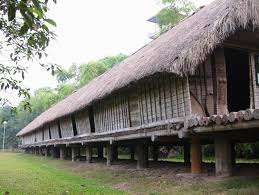 See more of sabah tradisional on facebook. Pecinta Fotografi Wildlife Ini Surga Foto Alam Liar Dari Borneo Start From 2 Photo Photography Service