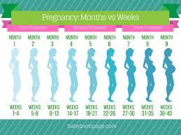 27 Weeks Pregnant Is How Many Months Chart