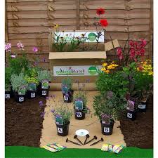 Find Sunny Border Collection 3m X 60cm At Homebase Visit Your Local Store For The Widest Range Of Garden Pro Plants Uk Garden Border Plants Evergreen Plants