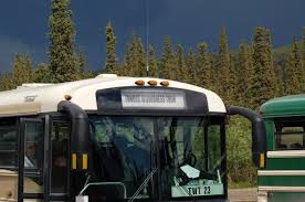 The shuttle service down the steep access road to the little tourist town of denali (open only during the short tourist season) was convenient and the driver was very friendly and knowledgeable. Tundra Wilderness Bus Dagtour In Denali National Park Alaska
