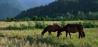 Facebook'ta ‎طبيعة أيران‎'in daha fazla içeriğini gör. Ø£Ø¬Ù…Ù„ Ù…Ù†Ø§Ø·Ù‚ Ø¥ÙŠØ±Ø§Ù† Ù…ÙˆØ¶ÙˆØ¹