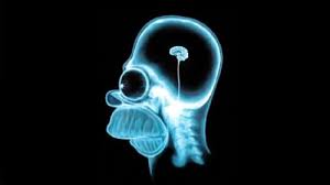 Cuidado con Internet! ¡Te puede volver idiota! –