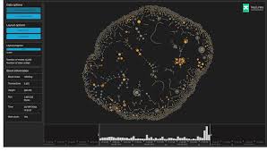 While it's fun to run sql queries in the command line, the real magic is when you're able to visualize it. Bitcoin Network Visualization To Understand Cryptocurrency Transactions