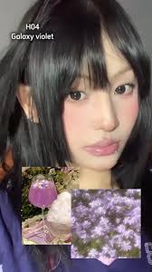 Gary Haggard Shop Review