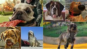 It stars ally sheedy, lance henriksen, robert costanzo, frederic lehne, john cassini, and j. Best In Shows The 100 Most Iconic Dogs In Movies Paste
