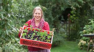Um eigenes gemüse anzubauen, braucht man viel platz? Gartentipps September Selbstversorgung Im Gartengemusekiosk