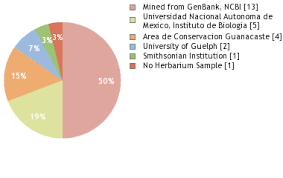 Image result for Crossopetalum mossambicense