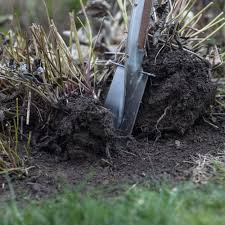 Egal wie vorsichtig sie sind, den richtigen strauch an die richtige stelle zu bringen, manchmal funktioniert die platzierung nicht. Stauden Teilen Und Umpflanzen Manufactum Gartenjahr