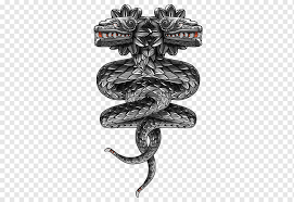 We have a unique selection, and we assure you that you will find. Alebrije Png Images Pngwing