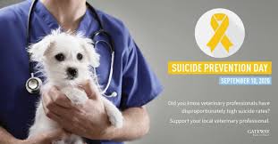 We did not find results for: Laura Orr Practice Manager Cedarview Animal Hospital Linkedin