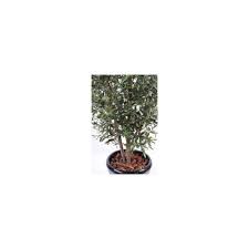 Artificielflower Arbre Fruitier Artificiel Olivier Buisson Et Olives Plante Pour Interieur H 170 Cm Taille 170 Cm Petite Deco D Exterieur Rue Du Commerce