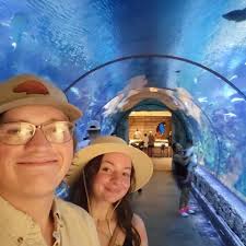 Golf lessons for a 15-year-old in Midland?