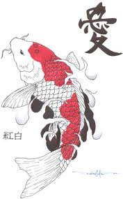 Made copies of favorites to color differently for variety of koi, waters. Realistic Koi Fish Drawing Color