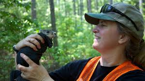 Recovery: America's Giant Squirrel Back from the Brink